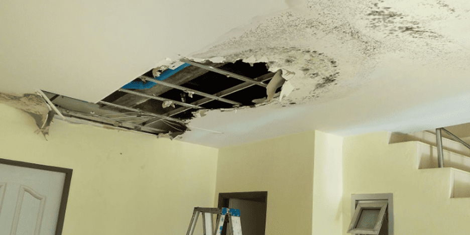 Top-rated Damage Restoration Company in Tampa providing quick response & professional repair services after property damage